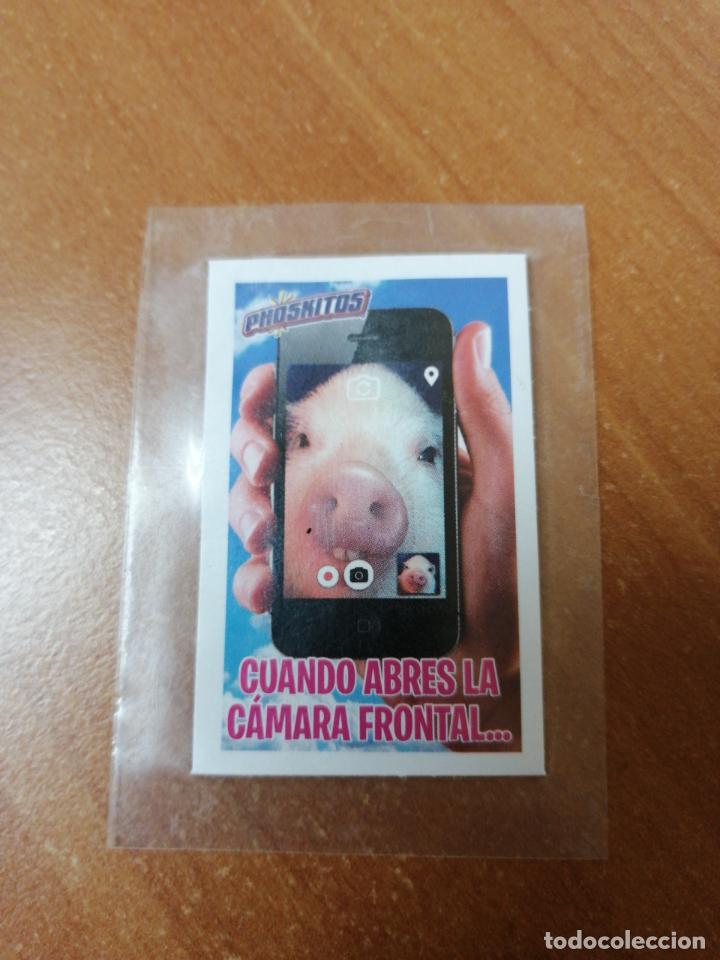 Coleccionismo cromos antiguos: CROMO DE PHOSKITOS NUEVOS EN SU ENVOLTORIO (ANIMALES) CERDO