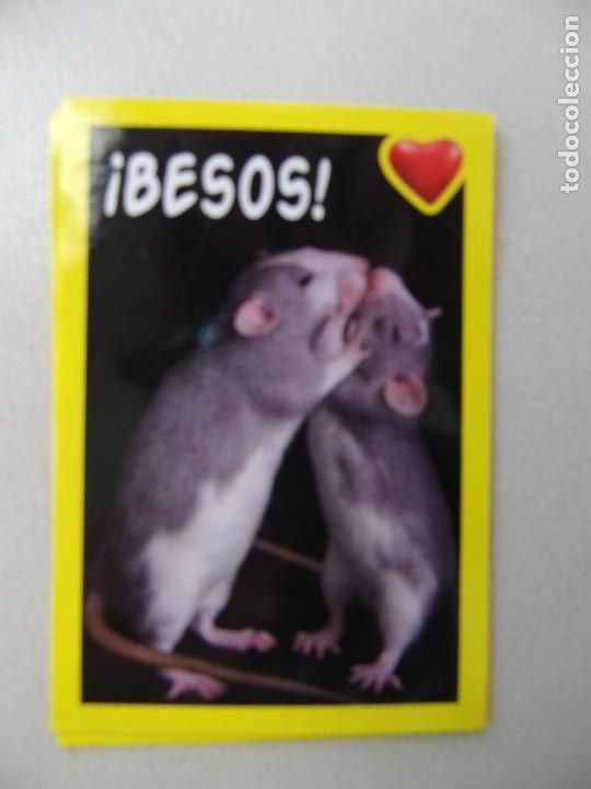 Coleccionismo cromos antiguos: AMICI CUCCIOLOTTI PANINI A&Ntilde;O 2015 NUM 43 - Foto 1