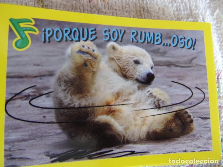 Coleccionismo cromos antiguos: AMICI CUCCIOLOTTI PANINI A&Ntilde;O 2015 NUM 222 - Foto 1