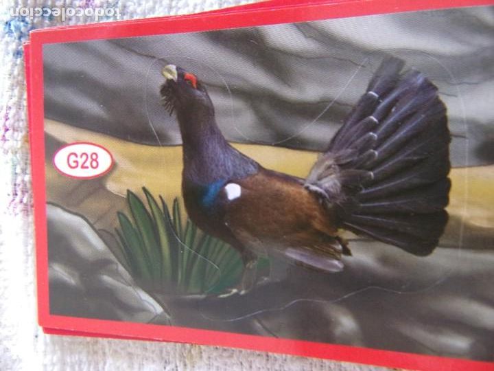 Coleccionismo cromos antiguos: AMICI CUCCIOLOTTI PANINI A&Ntilde;O 2015 G28 - Foto 1