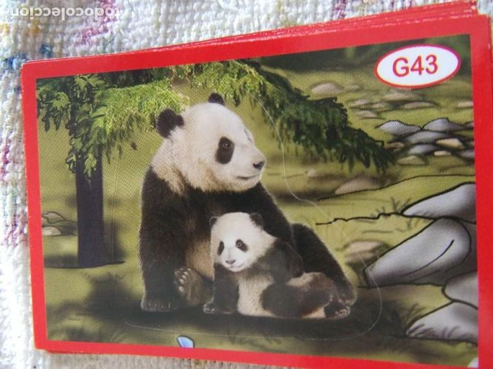 Coleccionismo cromos antiguos: AMICI CUCCIOLOTTI PANINI A&Ntilde;O 2015 G43 - Foto 1