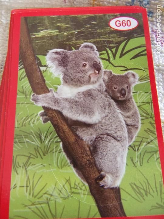 Coleccionismo cromos antiguos: AMICI CUCCIOLOTTI PANINI A&Ntilde;O 2015 G60 - Foto 1