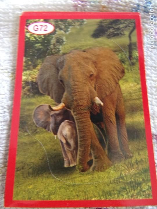 Coleccionismo cromos antiguos: AMICI CUCCIOLOTTI PANINI A&Ntilde;O 2015 G72 - Foto 1