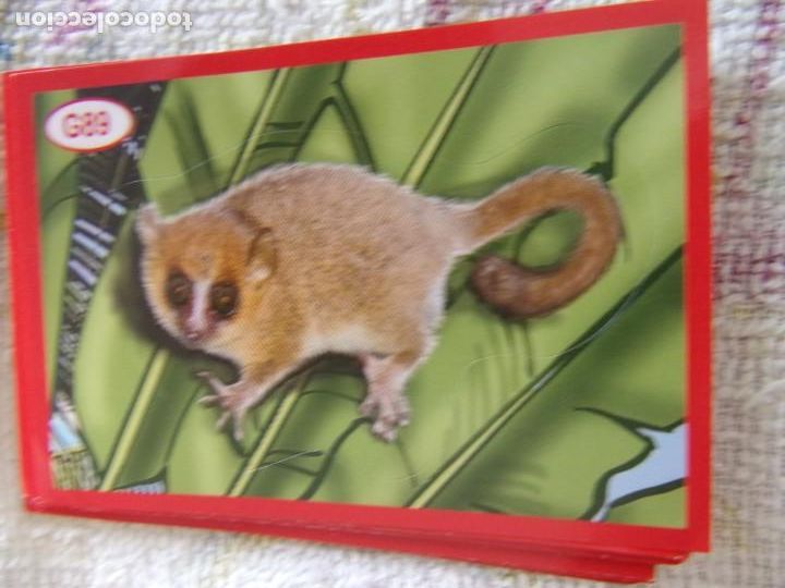 Coleccionismo cromos antiguos: AMICI CUCCIOLOTTI PANINI A&Ntilde;O 2015 G89 - Foto 1