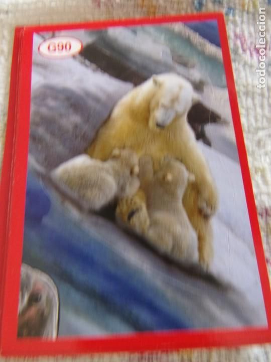 Coleccionismo cromos antiguos: AMICI CUCCIOLOTTI PANINI A&Ntilde;O 2015 G90 - Foto 1