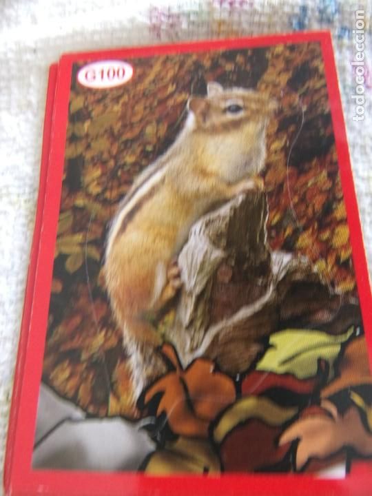 Coleccionismo cromos antiguos: AMICI CUCCIOLOTTI PANINI A&Ntilde;O 2015 G100 - Foto 1