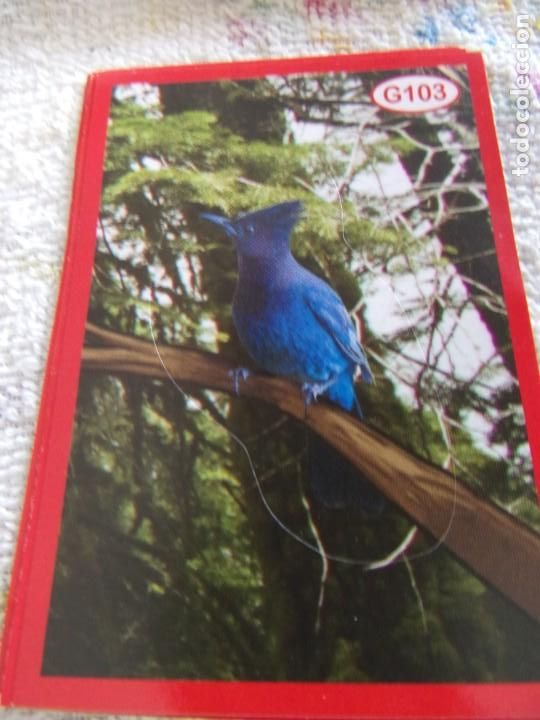 Coleccionismo cromos antiguos: AMICI CUCCIOLOTTI PANINI A&Ntilde;O 2015 G103 - Foto 1