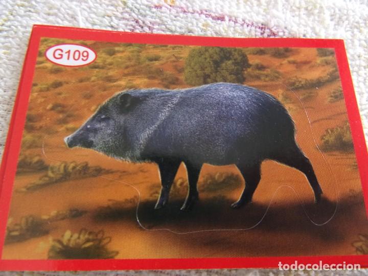 Coleccionismo cromos antiguos: AMICI CUCCIOLOTTI PANINI A&Ntilde;O 2015 G109 - Foto 1