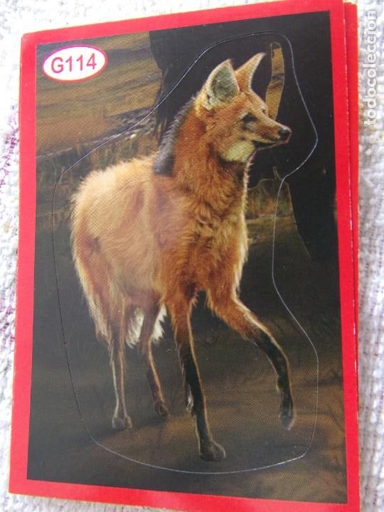 Coleccionismo cromos antiguos: AMICI CUCCIOLOTTI PANINI A&Ntilde;O 2015 G114 - Foto 1
