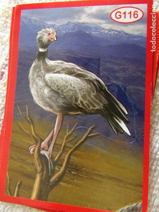 Coleccionismo cromos antiguos: AMICI CUCCIOLOTTI PANINI A&Ntilde;O 2015 G116 - Foto 1