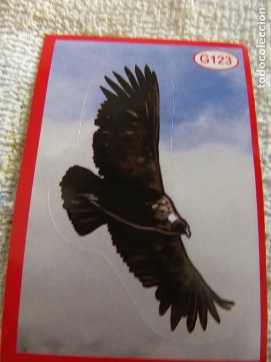 Coleccionismo cromos antiguos: AMICI CUCCIOLOTTI PANINI A&Ntilde;O 2015 G123 - Foto 1