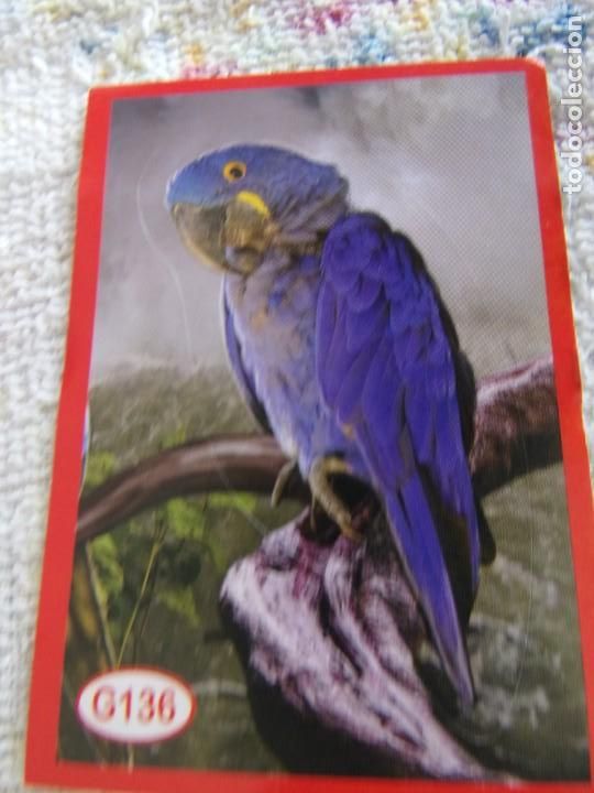 Coleccionismo cromos antiguos: AMICI CUCCIOLOTTI PANINI A&Ntilde;O 2015 G136 - Foto 1