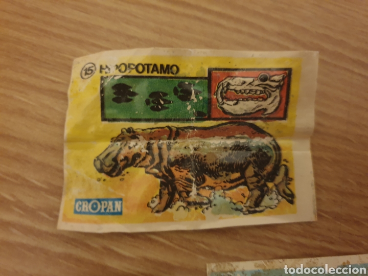 Coleccionismo Cromos antiguos: Cromo Cropan Sandokan Animales Hipop&oacute;tamo n.15