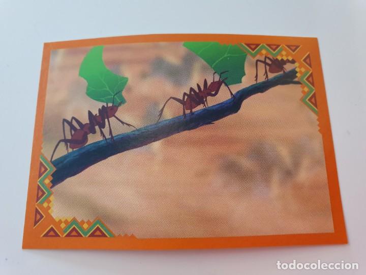 Coleccionismo cromos antiguos: El rey le&oacute;n Panini 2019 Cromo n&ordm; 14 - Foto 1