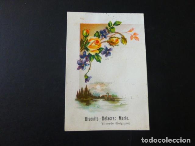 Coleccionismo cromos antiguos: FLORES Y PAISAJE ANTIGUO CROMO SIGLO XIX
