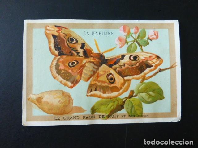 Collezionismo Figurine antiche: MARIPOSA ANTIGUO CROMO SIGLO XIX