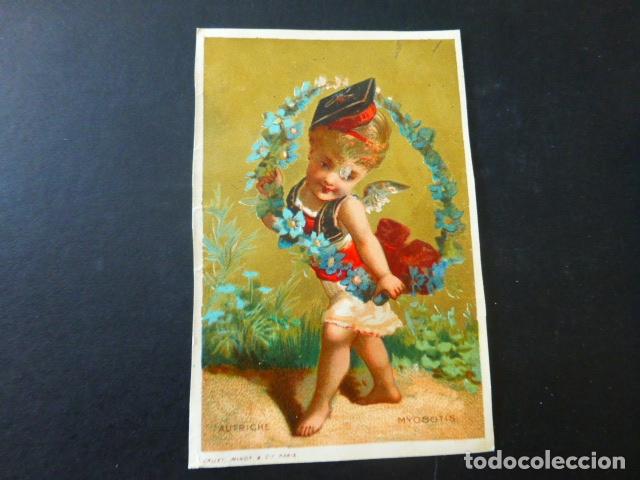 Colecionismo Cromos antigos: AUSTRIA ANTIGUO CROMO SIGLO XIX