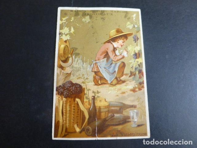 Coleccionismo Cromos antiguos: VINO VITICULTURA CROMO SIGLO XIX