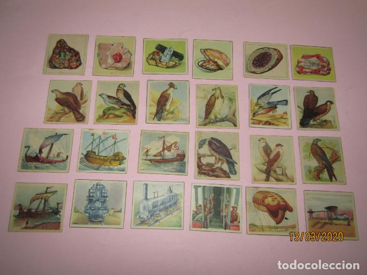 Collectable Antique Stickers: Antiguo Lote 24 Cromos de la Enciclopedia Cultural CHICOS