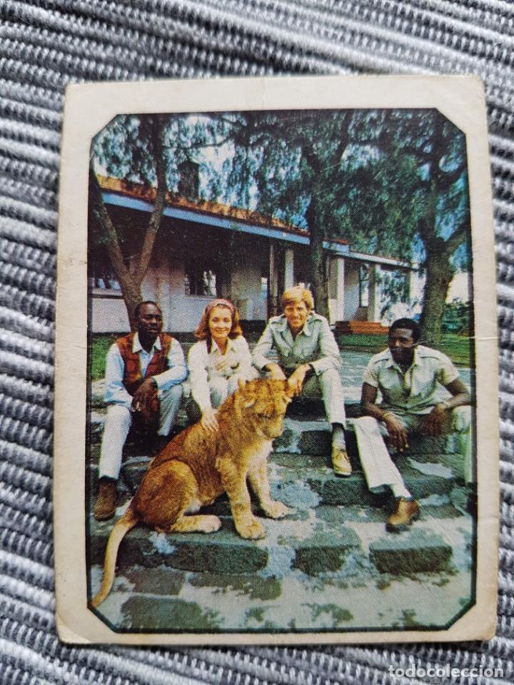 Coleccionismo cromos antiguos: FANS N&ordm; 6 NACIDA LIBRE SIN PEGAR - Foto 1