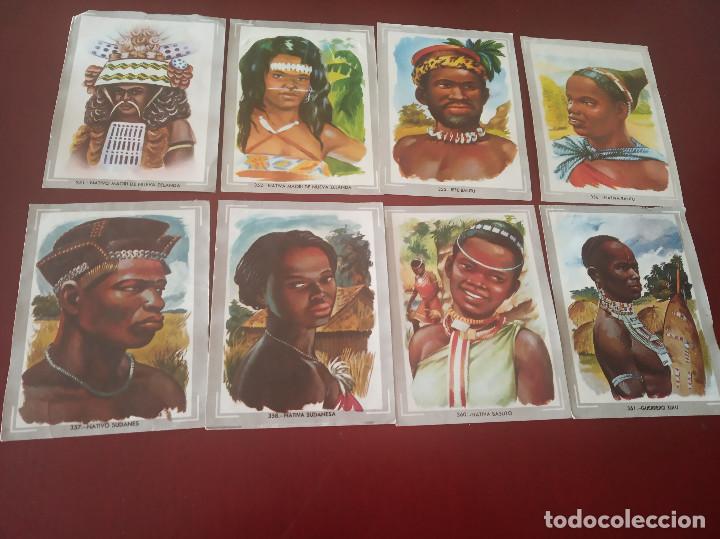 Coleccionismo cromos antiguos: 33 cromos - vida y color - - Foto 6