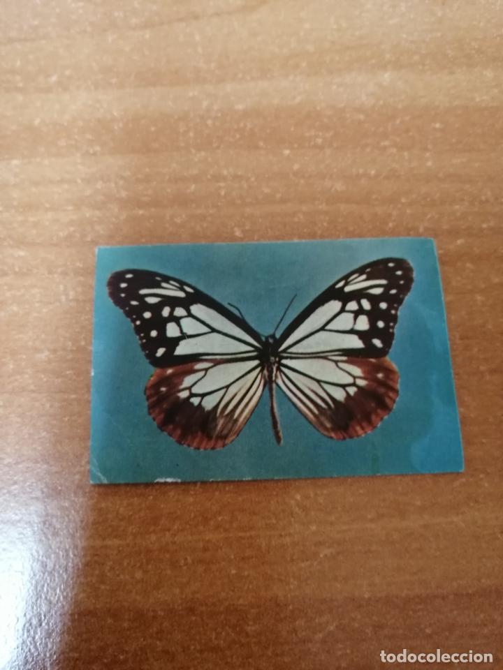 Coleccionismo Cromos antiguos: CROMO DE PHOSKITOS N&ordm; 7 ( MARIPOSA )