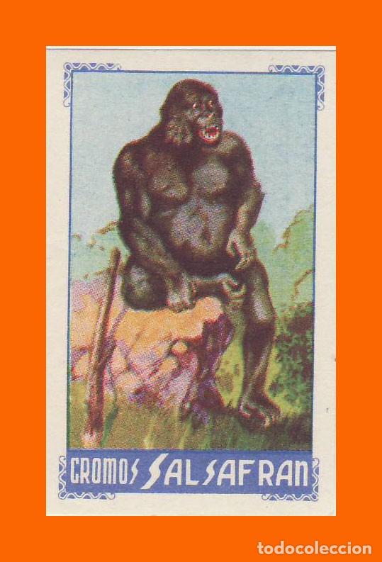Coleccionismo cromos antiguos: Cromos Salsafran - Serie V n&ordm;23 - Foto 1