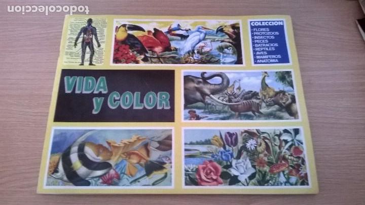 Coleccionismo cromos antiguos: &Aacute;lbum vida y color - Foto 1