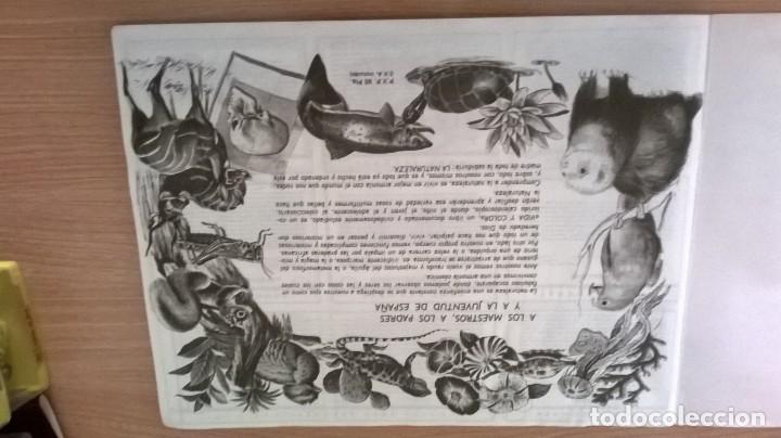 Coleccionismo cromos antiguos: &Aacute;lbum vida y color - Foto 2