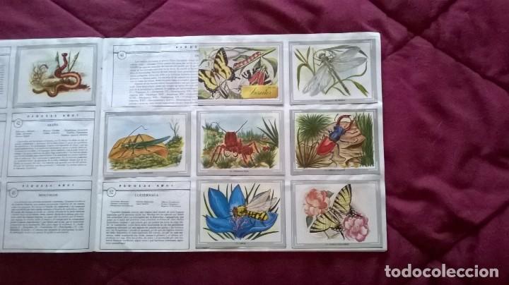 Coleccionismo cromos antiguos: &Aacute;lbum vida y color - Foto 8