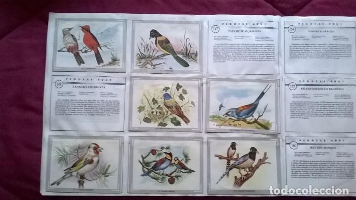 Coleccionismo cromos antiguos: &Aacute;lbum vida y color - Foto 19