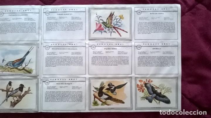 Coleccionismo cromos antiguos: &Aacute;lbum vida y color - Foto 20