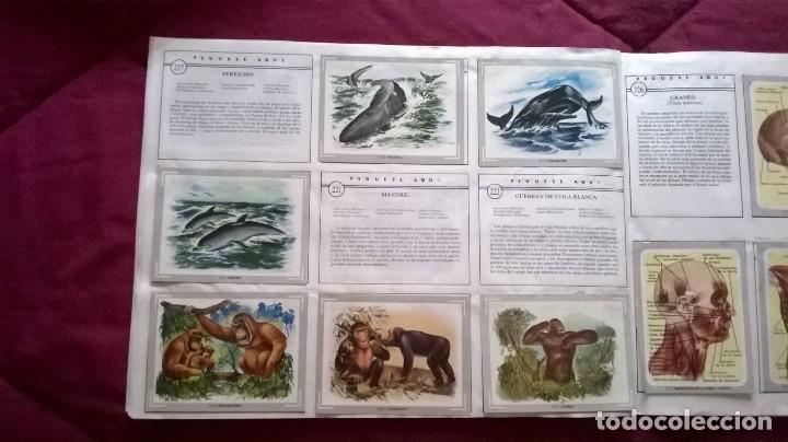 Coleccionismo cromos antiguos: &Aacute;lbum vida y color - Foto 27