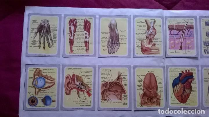 Coleccionismo cromos antiguos: &Aacute;lbum vida y color - Foto 30