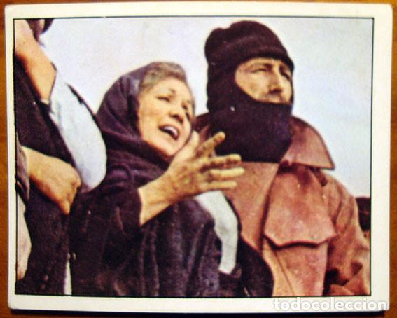 Coleccionismo Cromos antiguos: CROMO ALBUM LAS AVENTURAS DE PINOCHO DE PANINI VULCANO A&Ntilde;O 1972 N&ordm; 254 (NUEVO)