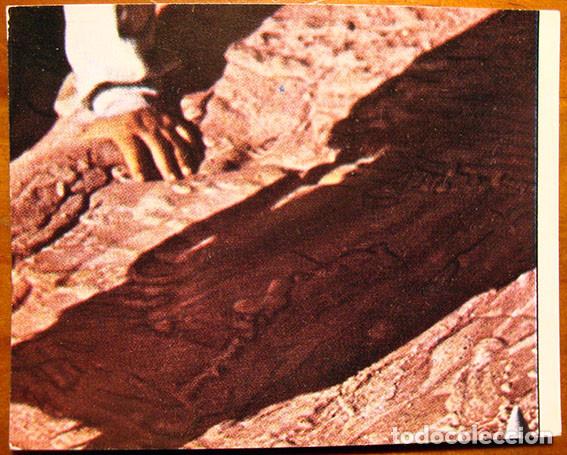 Coleccionismo Cromos antiguos: CROMO ALBUM LAS AVENTURAS DE PINOCHO DE PANINI VULCANO A&Ntilde;O 1972 N&ordm; 350 (NUEVO)