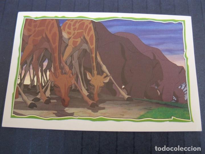 Coleccionismo cromos antiguos: EL REY LE&Oacute;N - CROMO N&ordm; 36 - PANINI - NUNCA PEGADO. - Foto 1