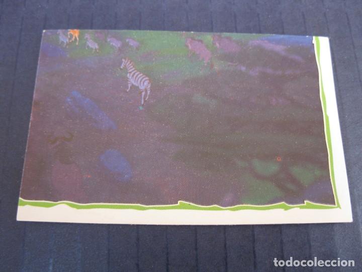 Coleccionismo cromos antiguos: EL REY LE&Oacute;N - CROMO N&ordm; 15 - PANINI - NUNCA PEGADO. - Foto 1
