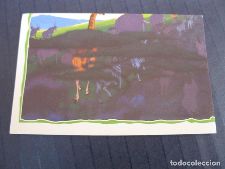 Coleccionismo cromos antiguos: EL REY LE&Oacute;N - CROMO N&ordm; 14 - PANINI - NUNCA PEGADO. - Foto 1