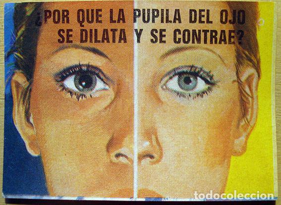 Coleccionismo Cromos antiguos: CROMO ALBUM EL PORQUE DE LAS COSAS 3 DE BIMBO N&ordm; 10 (SIN PEGAR)