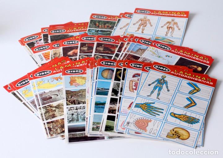 Collectionnisme Cartes &agrave; collectionner anciennes: Lote de 137 l&aacute;minas autoadhesivas DIDEC, con cromos. Difusora de la Cultura SA, Valencia, Spain.