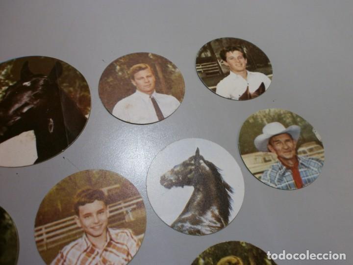 Coleccionismo cromos antiguos: lote de cromos panrico - Foto 3