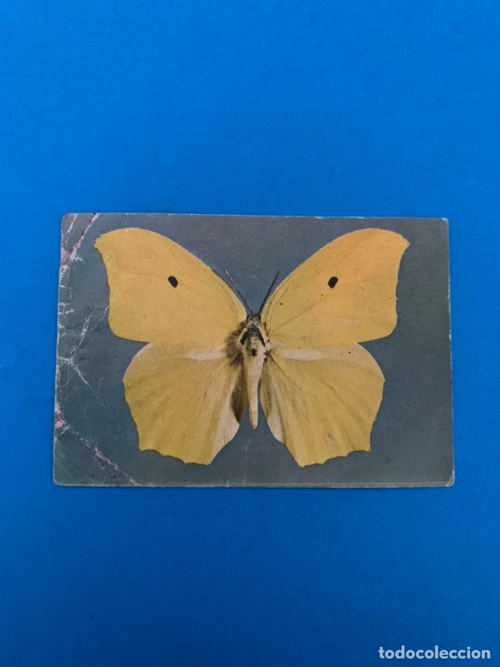 Coleccionismo cromos antiguos: Cromo Phoskitos Mariposa N&deg; 3 - Foto 1