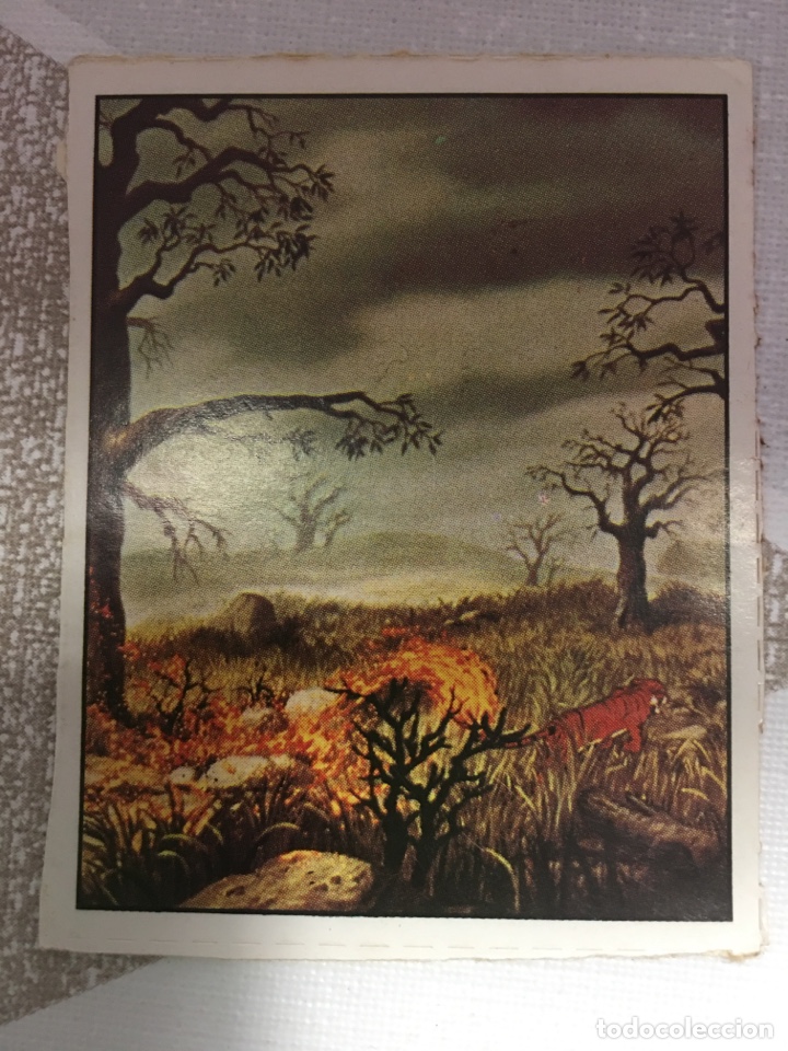 Coleccionismo Cromos antiguos: LIBRO DE LA SELVA - PANINI - NUMERO 199