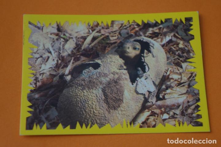 Coleccionismo cromos antiguos: CROMO DE DINOSAURIO DE DISNEY SIN PEGAR N&ordm; 177 A&Ntilde;O 2000 DEL &Aacute;LBUM DINOSAURIO DE PANINI