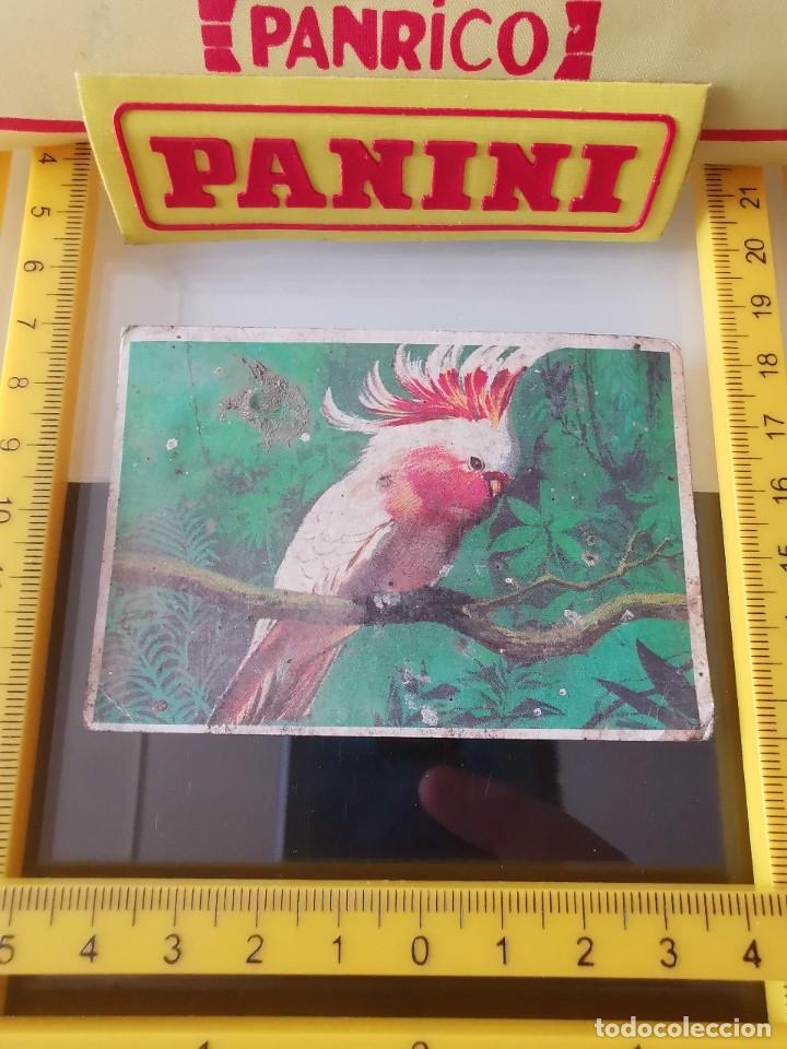 Coleccionismo cromos antiguos: CROMO SIN PEGAR CHICLE DUNKIN LAS AVES 5 - Foto 1