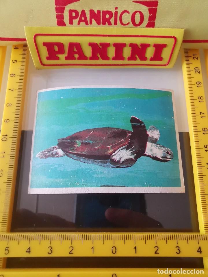 Coleccionismo cromos antiguos: CROMO SIN PEGAR CHICLE DUNKIN EL MAR 8 - Foto 1