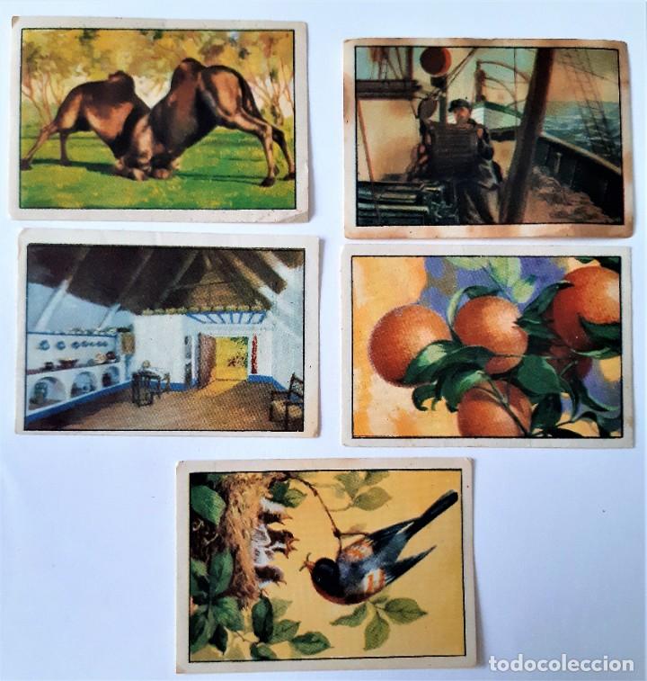 Coleccionismo cromos antiguos: 5 CROMOS DISTINTOS GALLINA BLANCA 1945 - 1ER. ALBUM - SERIES 8&ordf; 9&ordf; 16&ordf; 19&ordf; Y 20&ordf; - SURTIDOS