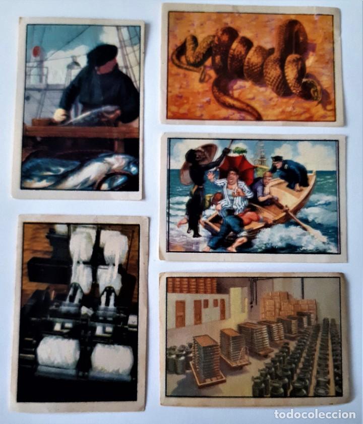 Coleccionismo cromos antiguos: 5 CROMOS DISTINTOS GALLINA BLANCA 1945 - 1ER. ALBUM - SERIES 1&ordf; 4&ordf; y 5&ordf; 12&ordf; 19&ordf; Y 20&ordf; - SURTIDOS