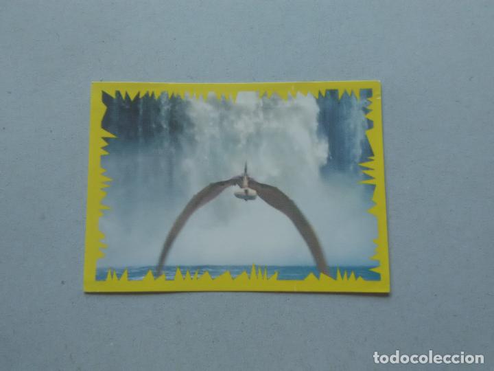 Coleccionismo cromos antiguos: N&ordm; 15 CROMO DINOSAURIO DE PANINI DISNEY - Foto 1